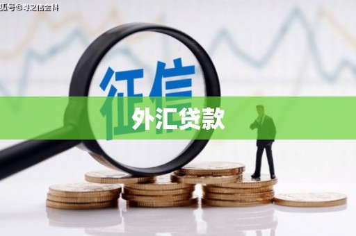 外埔外汇贷款