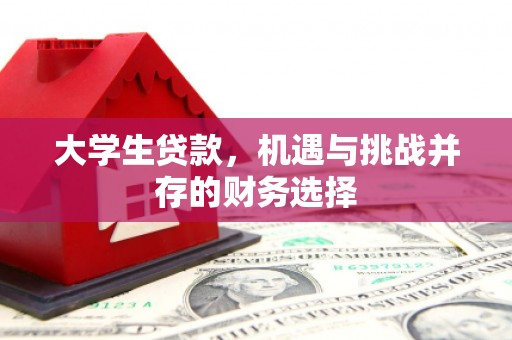 外埔大学生贷款，机遇与挑战并存的财务选择