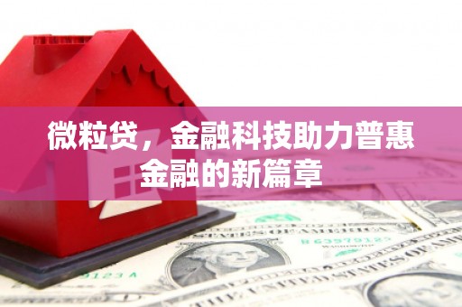 外埔微粒贷，金融科技助力普惠金融的新篇章