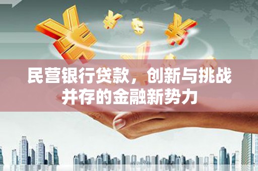 外埔民营银行贷款，创新与挑战并存的金融新势力