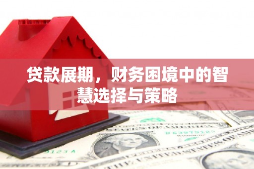 外埔贷款展期，财务困境中的智慧选择与策略