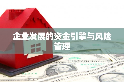 外埔企业发展的资金引擎与风险管理