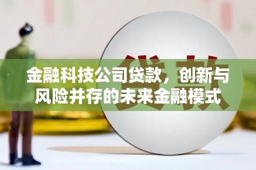 外埔金融科技公司贷款，创新与风险并存的未来金融模式