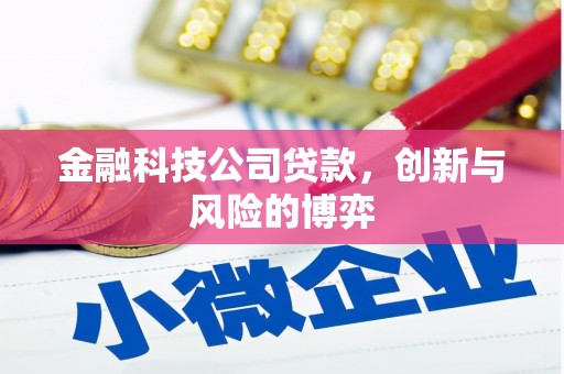 外埔金融科技公司贷款，创新与风险的博弈