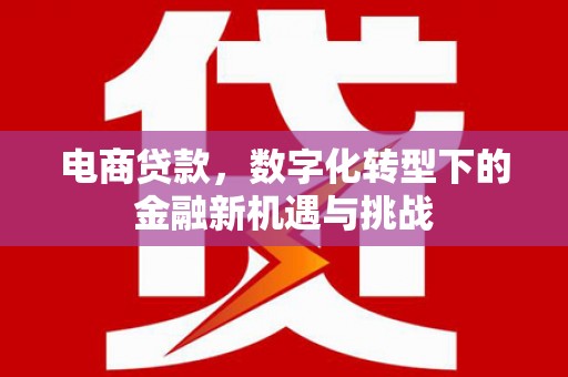 外埔电商贷款，数字化转型下的金融新机遇与挑战