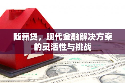 外埔随薪贷，现代金融解决方案的灵活性与挑战