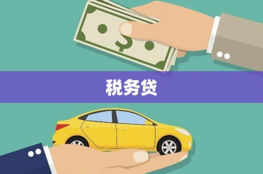 外埔税务贷