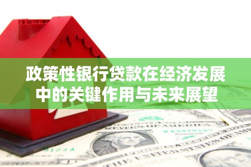 外埔政策性银行贷款在经济发展中的关键作用与未来展望