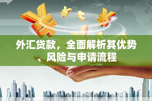 外埔外汇贷款，全面解析其优势、风险与申请流程