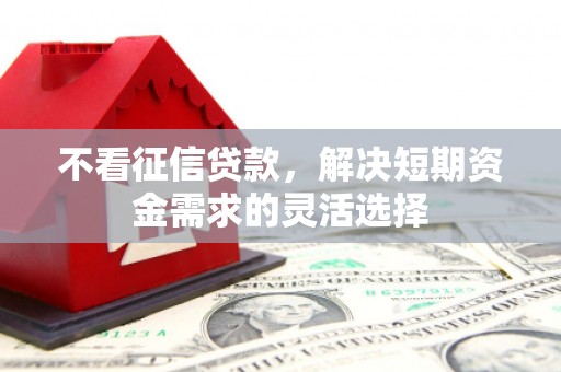 外埔不看征信贷款，解决短期资金需求的灵活选择
