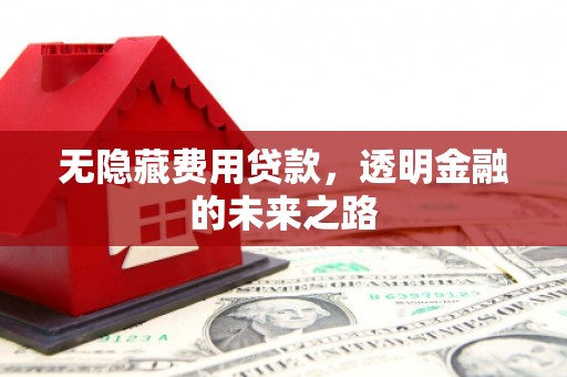 外埔无隐藏费用贷款，透明金融的未来之路