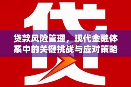 外埔贷款风险管理，现代金融体系中的关键挑战与应对策略