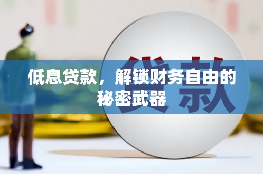 外埔低息贷款，解锁财务自由的秘密武器