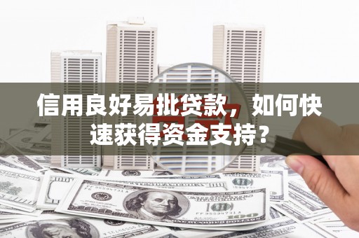 外埔信用良好易批贷款，如何快速获得资金支持？