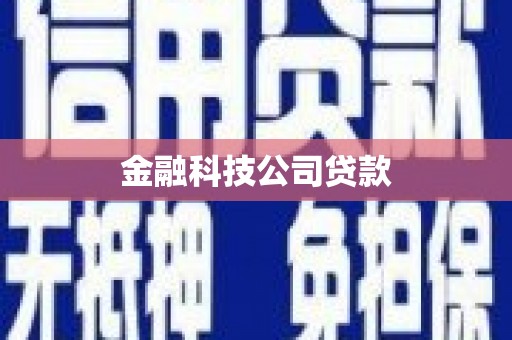 外埔金融科技公司贷款
