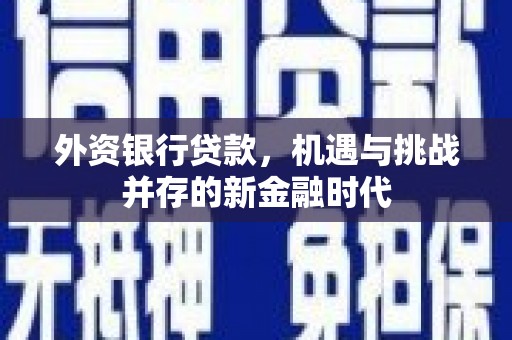外埔外资银行贷款，机遇与挑战并存的新金融时代