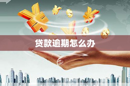 外埔贷款逾期怎么办