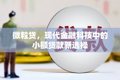 外埔微粒贷，现代金融科技中的小额贷款新选择