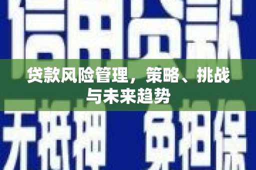 外埔贷款风险管理，策略、挑战与未来趋势