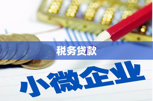 外埔税务贷款