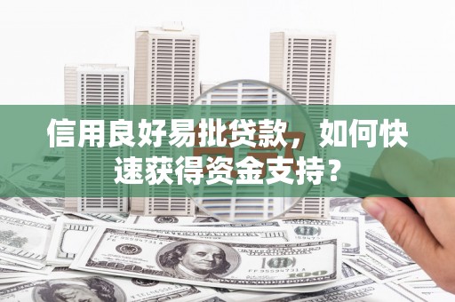 外埔信用良好易批贷款，如何快速获得资金支持？