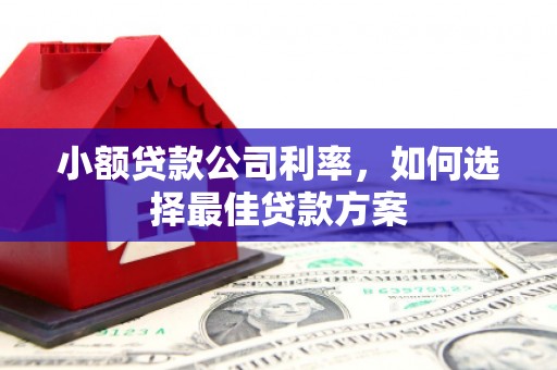 外埔小额贷款公司利率，如何选择最佳贷款方案