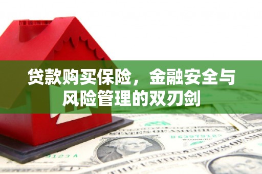 外埔贷款购买保险，金融安全与风险管理的双刃剑