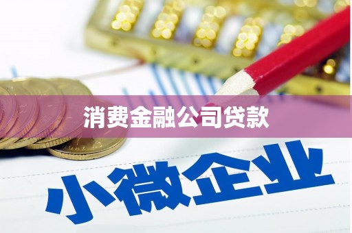 外埔消费金融公司贷款