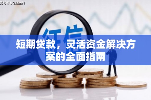 外埔短期贷款，灵活资金解决方案的全面指南