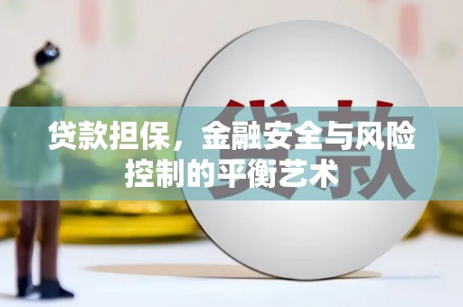 外埔贷款担保，金融安全与风险控制的平衡艺术