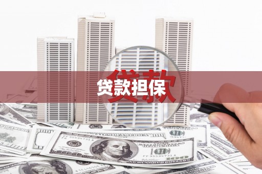 外埔贷款担保