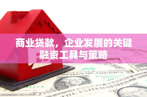 外埔商业贷款，企业发展的关键融资工具与策略