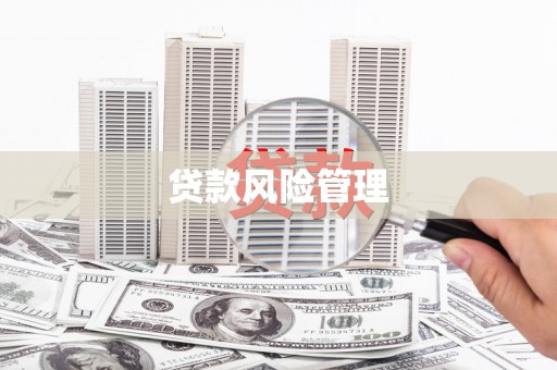 外埔贷款风险管理