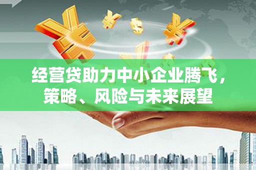 外埔经营贷助力中小企业腾飞，策略、风险与未来展望