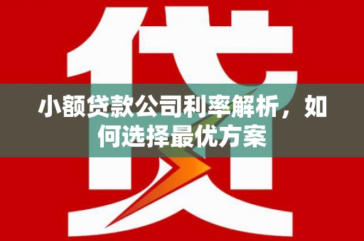 外埔小额贷款公司利率解析，如何选择最优方案