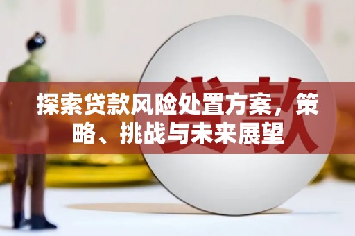 外埔探索贷款风险处置方案，策略、挑战与未来展望