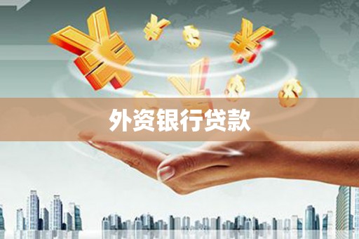 外埔外资银行贷款