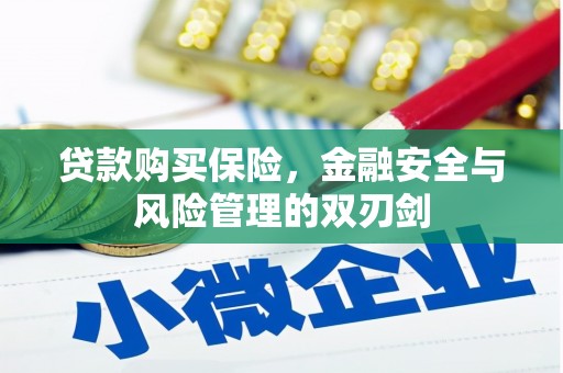 外埔贷款购买保险，金融安全与风险管理的双刃剑