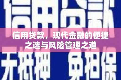 外埔信用贷款，现代金融的便捷之选与风险管理之道