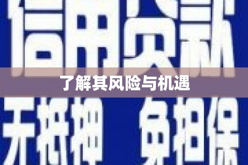 外埔了解其风险与机遇