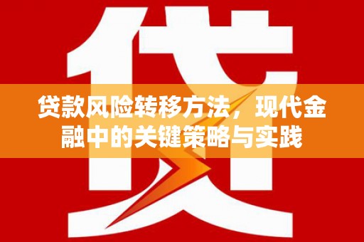 外埔贷款风险转移方法，现代金融中的关键策略与实践