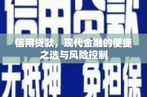 外埔信用贷款，现代金融的便捷之选与风险控制