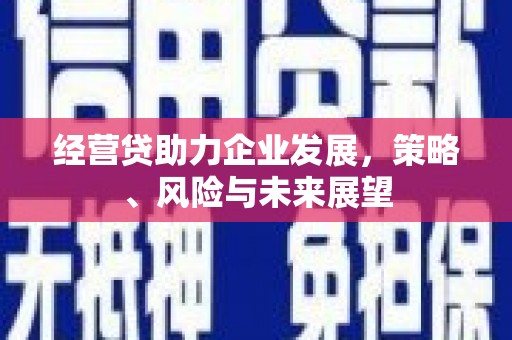 外埔经营贷助力企业发展，策略、风险与未来展望
