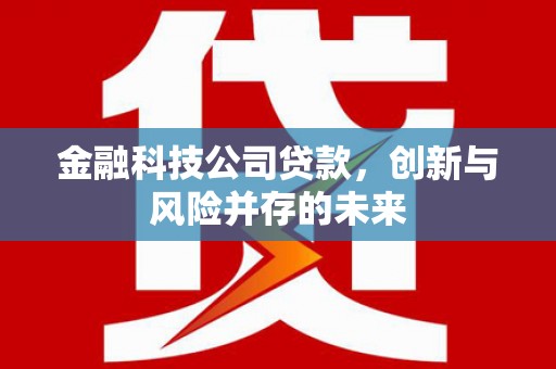 外埔金融科技公司贷款，创新与风险并存的未来