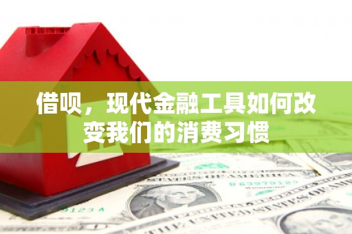 外埔借呗，现代金融工具如何改变我们的消费习惯