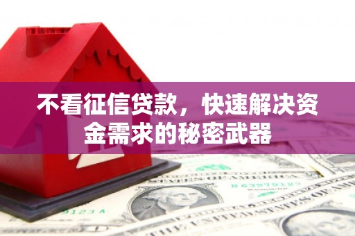外埔不看征信贷款，快速解决资金需求的秘密武器