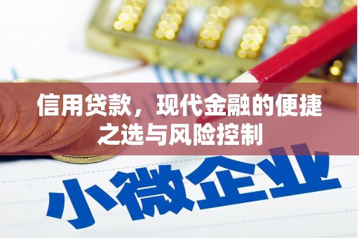 外埔信用贷款，现代金融的便捷之选与风险控制