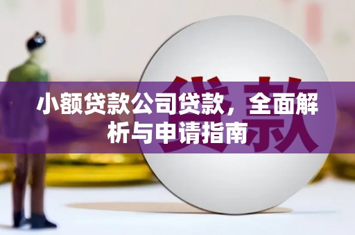 外埔小额贷款公司贷款，全面解析与申请指南