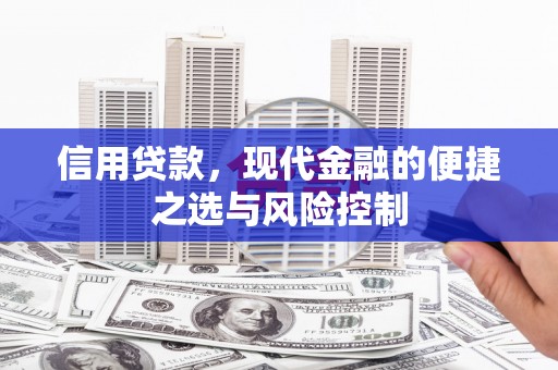 外埔信用贷款，现代金融的便捷之选与风险控制