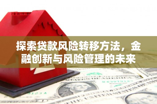 外埔探索贷款风险转移方法，金融创新与风险管理的未来